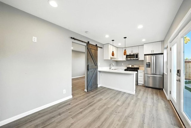 493133 Auburn, San Diego, CA 92105 - kitchen with stainless steel appliances, a barn door, light countertops, recessed lighting, and light wood-style floors