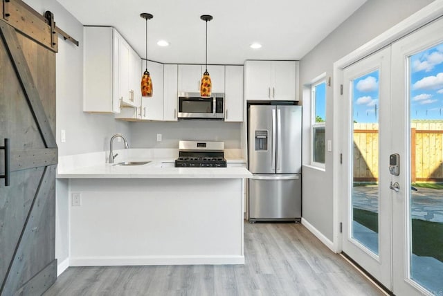 493133 Auburn, San Diego, CA 92105 - kitchen with appliances with stainless steel finishes, light countertops, light wood finished floors, a barn door, and recessed lighting