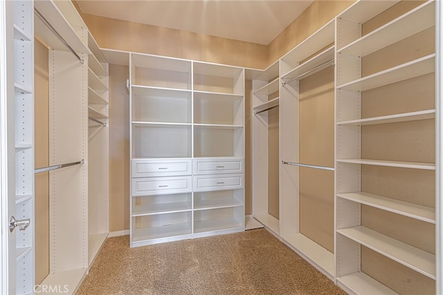 23785 Western Cedar Ct, Valencia, CA 91354 - spacious closet featuring carpet flooring