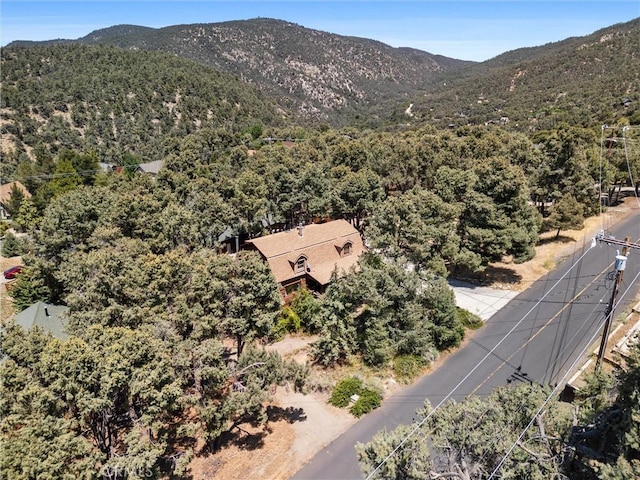 2712 Tirol Dr, Pine Mountain Club, CA 93225 - photo 3