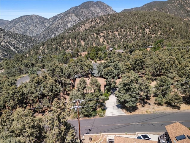 2712 Tirol Dr, Pine Mountain Club, CA 93225 - photo 4