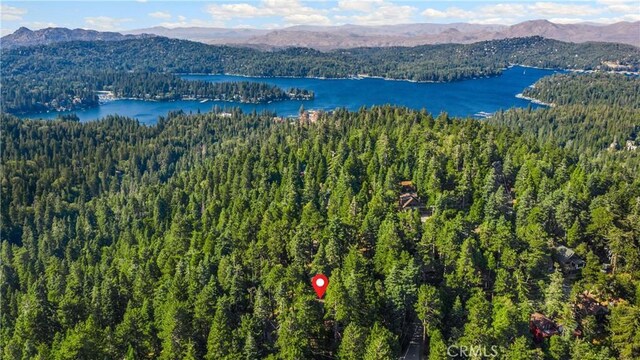 775 Buckingham, Lake Arrowhead, CA 92352 - photo 32