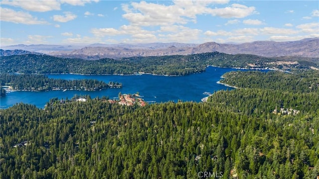 775 Buckingham, Lake Arrowhead, CA 92352 - photo 33