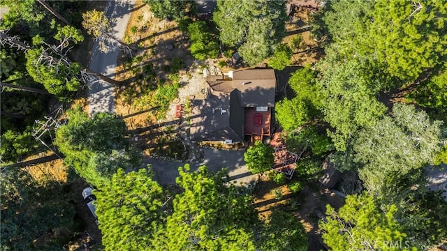 775 Buckingham, Lake Arrowhead, CA 92352 - photo 30