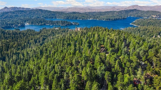 775 Buckingham, Lake Arrowhead, CA 92352 - photo 31