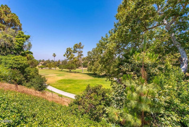 6357 Irena Ave, Camarillo, CA 93012 - view of property's community with a lawn and view of golf course