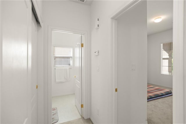 10527 Rose River Falls Ave, Bakersfield, CA 93312 - corridor featuring baseboards and carpet flooring