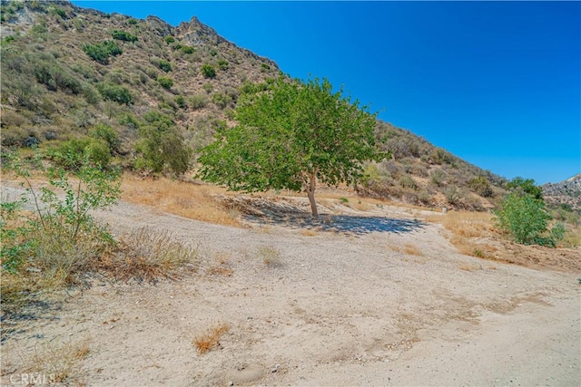 29701 Jackson St, Castaic, CA 91384 - view of mountain background