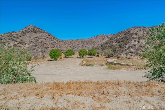 29701 Jackson St, Castaic, CA 91384 - view of mountain background
