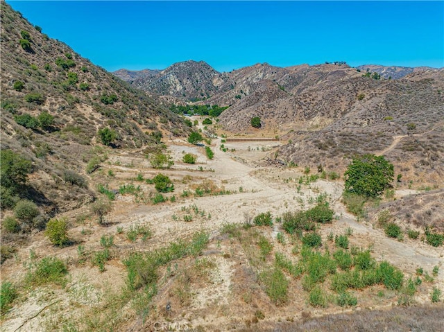 29701 Jackson St, Castaic, CA 91384 - view of mountain backdrop