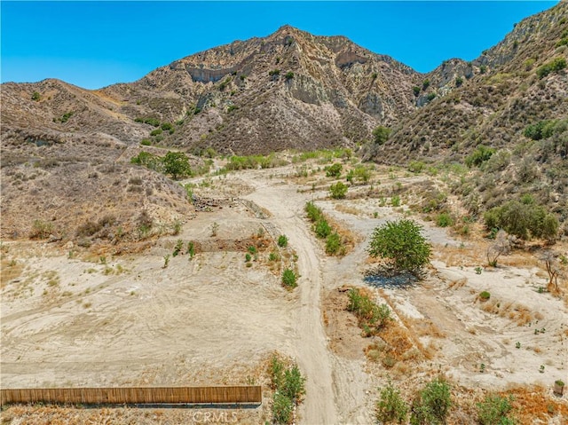 29701 Jackson St, Castaic, CA 91384 - view of mountain background