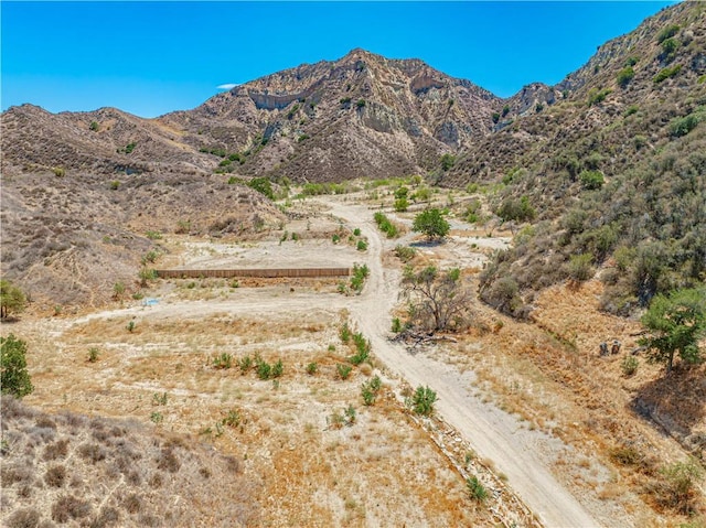 29701 Jackson St, Castaic, CA 91384 - mountain view