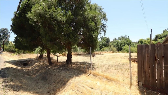 16141 Jessie St, Lower Lake, CA 95457 - view of yard