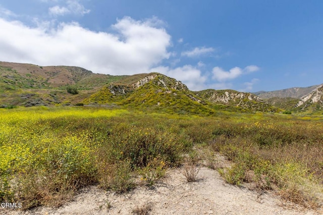 3629 Center St, Piru, CA 93040 - view of mountain backdrop