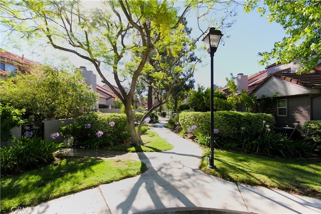 800 Via Colinas, Westlake Village, CA 91362 - view of community featuring a yard
