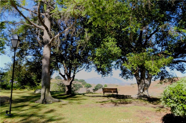 800 Via Colinas, Westlake Village, CA 91362 - view of grassy yard