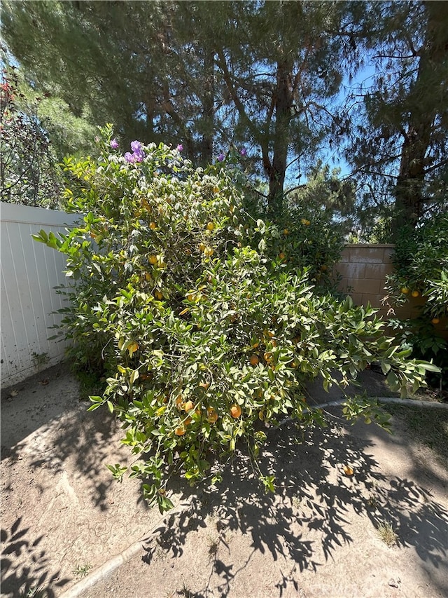 39877 Worthington Pl, Temecula, CA 92591 - view of yard