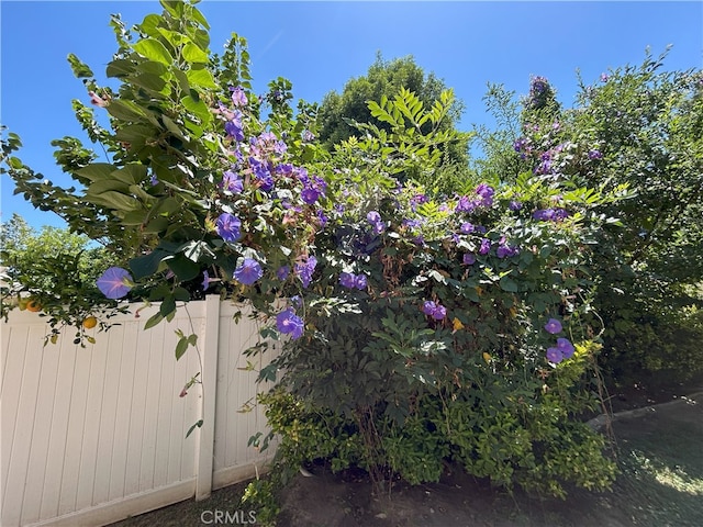 39877 Worthington Pl, Temecula, CA 92591 - view of yard