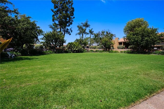 6600 Warner Ave, Huntington Beach, CA 92647 - photo 18