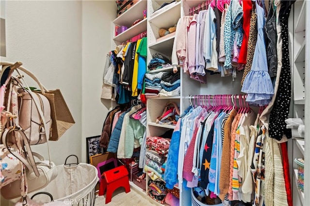 22388 Riverstream Ct, Saugus, CA 91350 - view of spacious closet