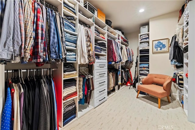 22388 Riverstream Ct, Saugus, CA 91350 - spacious closet featuring carpet