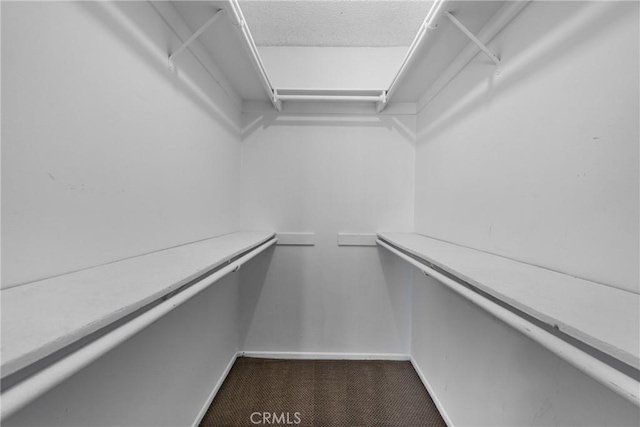 2231 Pacific Ave Unit 14, Costa Mesa, CA 92627 - walk in closet with dark colored carpet
