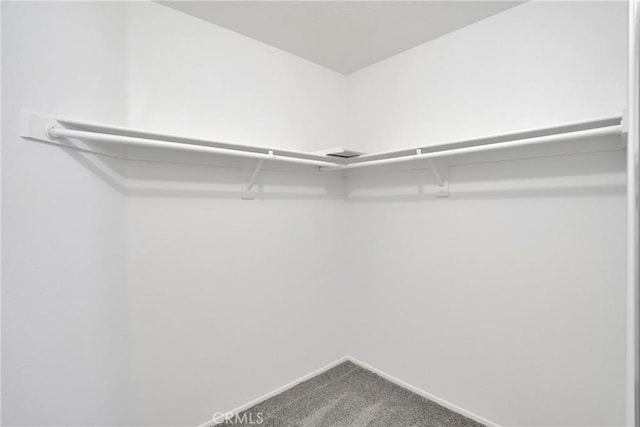 14183 Gale Dr, Victorville, CA 92394 - walk in closet featuring carpet floors