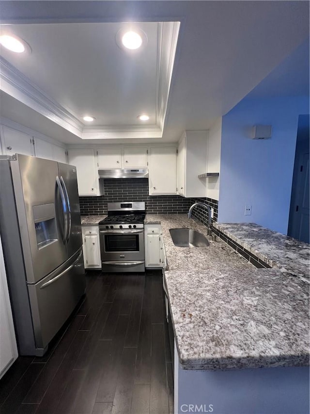 24297 El Pilar, Laguna Niguel, CA 92677 - kitchen with stainless steel appliances, a tray ceiling, dark wood-style floors, decorative backsplash, and under cabinet range hood