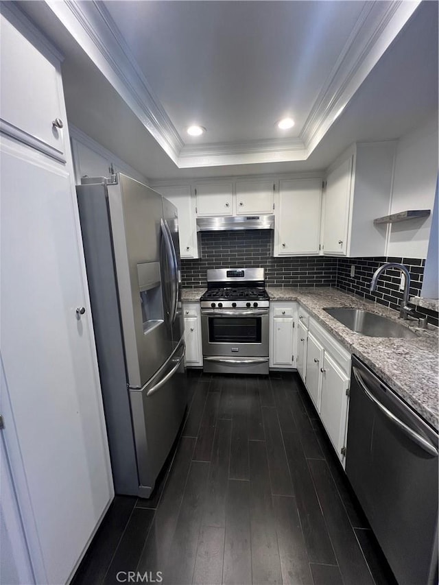 24297 El Pilar, Laguna Niguel, CA 92677 - kitchen with stainless steel appliances, under cabinet range hood, a tray ceiling, ornamental molding, and dark wood finished floors