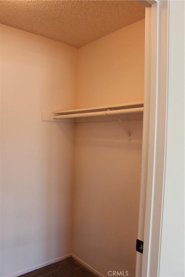 10768 William Ave, Bloomington, CA 92316 - walk in closet with dark colored carpet