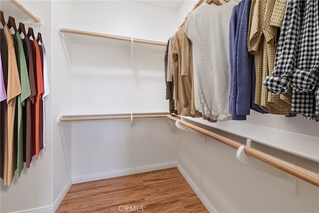 41 Somerton, Irvine, CA 92620 - walk in closet with wood finished floors