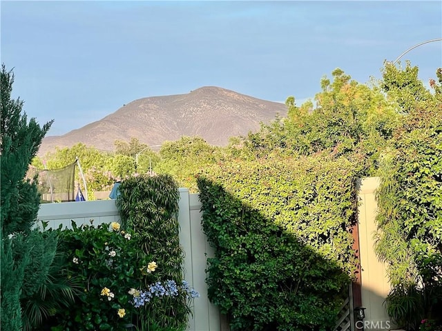 30587 Aspen Glen St, Murrieta, CA 92563 - photo 41