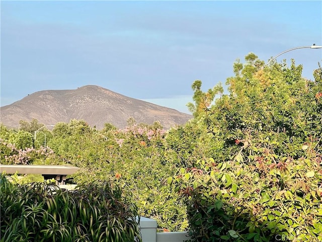 30587 Aspen Glen St, Murrieta, CA 92563 - photo 40