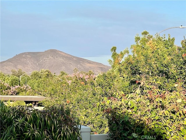 30587 Aspen Glen St, Murrieta, CA 92563 - photo 40