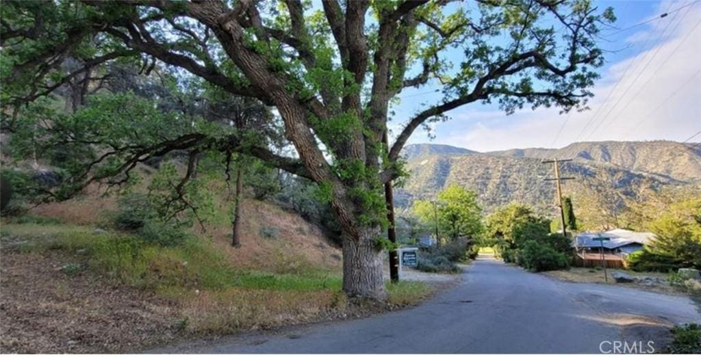0 Pine Cyn, Frazier Park, CA 93225