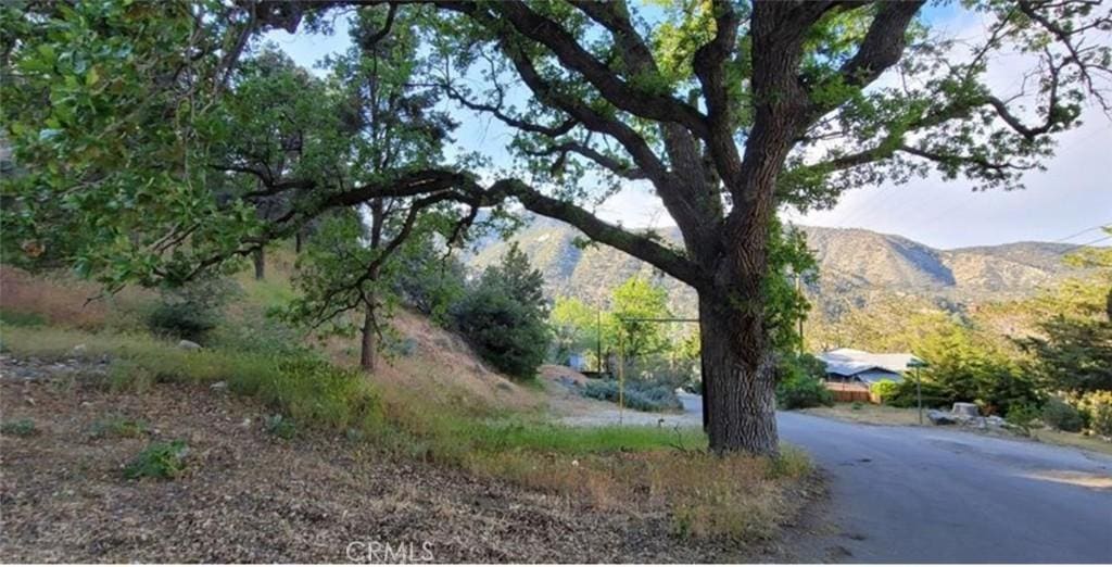 0 Pine Cyn, Frazier Park, CA 93225