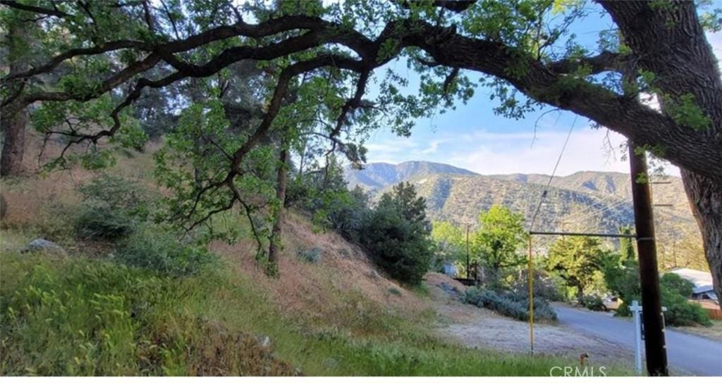 0 Pine Cyn, Frazier Park, CA 93225