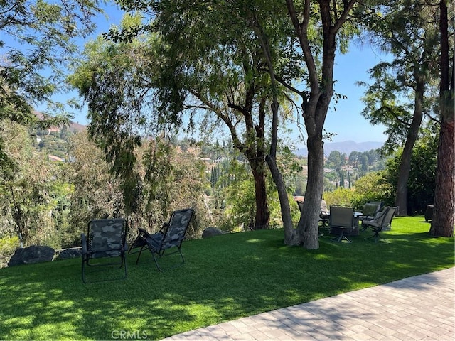 17547 Rushing Dr, Granada Hills, CA 91344 - photo 59