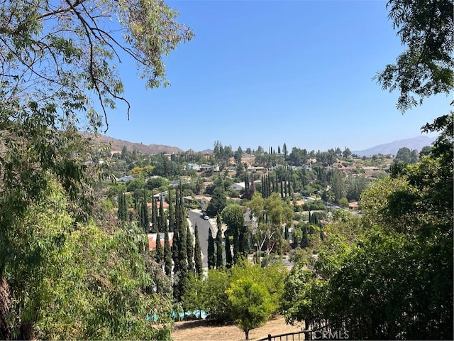 17547 Rushing Dr, Granada Hills, CA 91344 - photo 4
