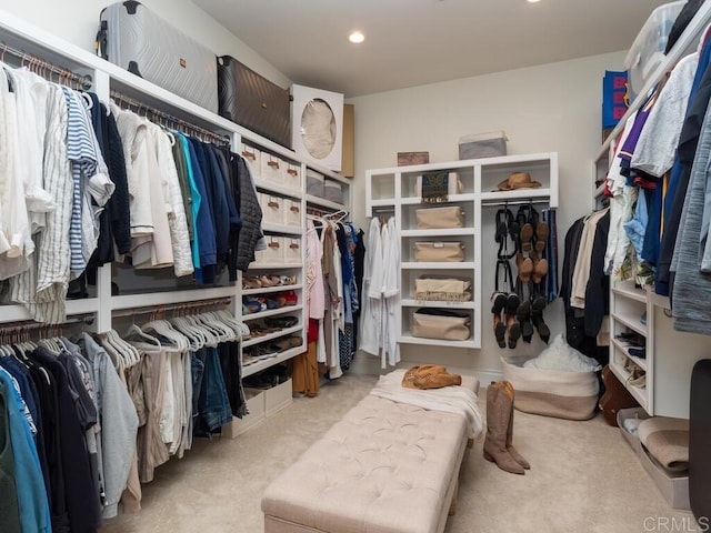 32110 Dos Ninas, Bonsall, CA 92003 - spacious closet featuring carpet