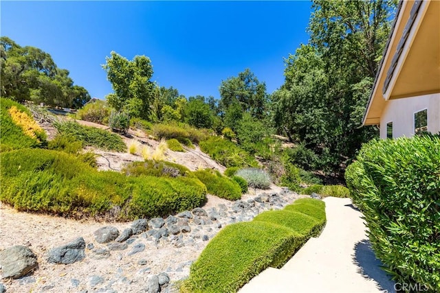9914 Flyrod Dr, Paso Robles, CA 93446 - photo 8