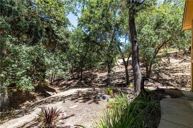 9914 Flyrod Dr, Paso Robles, CA 93446 - photo 61