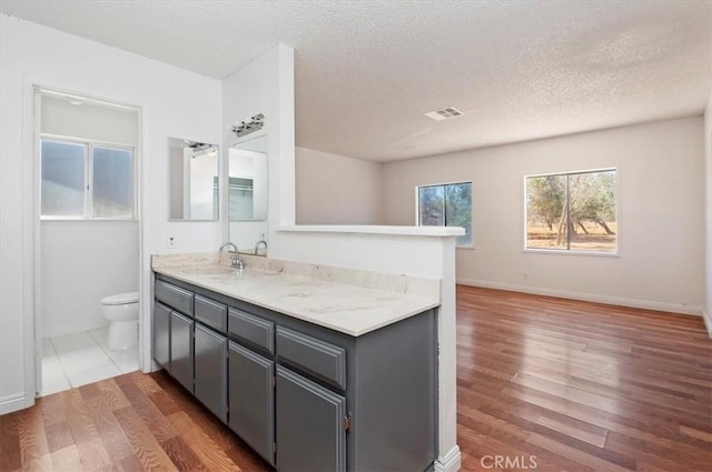 23405 Ramona Ave, Apple Valley, CA 92307 - bathroom featuring wood finished floors, vanity, and a textured ceiling