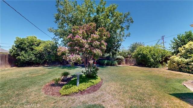 125 Hilton St, Madera, CA 93637 - view of fenced backyard