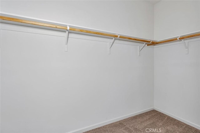 860 Fritz Dr, Los Banos, CA 93635 - walk in closet featuring carpet