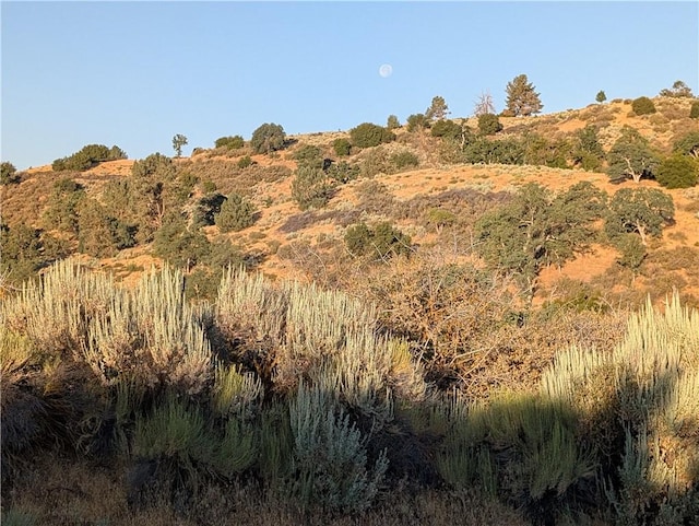 0 Fox Ridge Ct, Tehachapi, CA 92561