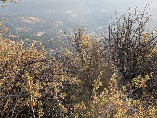 0 Fox Ridge Ct, Tehachapi, CA 92561