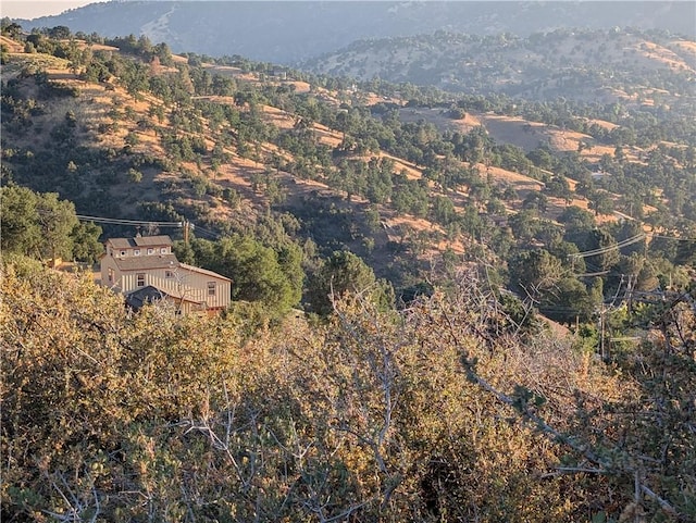 0 Fox Ridge Ct, Tehachapi, CA 92561
