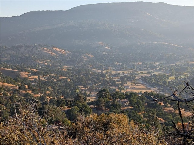 0 Fox Ridge Ct, Tehachapi, CA 92561