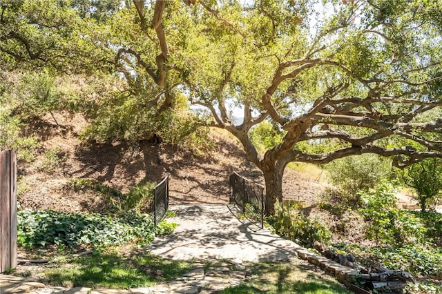 2289 Hermitage Rd, Ojai, CA 93023 - photo 54